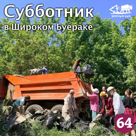 Саратовские волонтеры достали унитаз и черепа животных из спасенного ручья